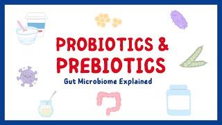 Prebiotics amp Prebiotics Gut microbiome explained [upl. by Jory]