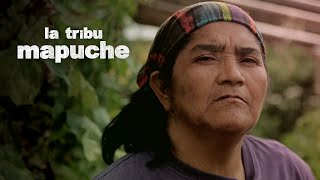 LA TRIBU MAPUCHE  Luz Marina [upl. by Echikson]