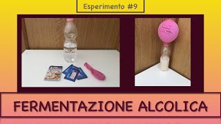 Gonfiare un palloncino con il lievito di birra  fermentazione alcolica  Esperimento 9 [upl. by Faith]