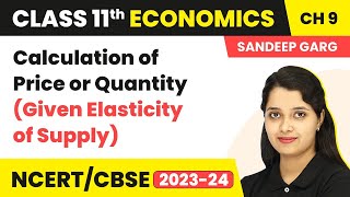 Class 11 Economics Ch 9  Calculation of Price or Quantity Given Elasticity of Supply [upl. by Akehsal682]