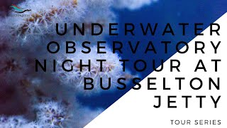 Busselton Jetty Tour Series Underwater Observatory Night Tour [upl. by Neyrb]