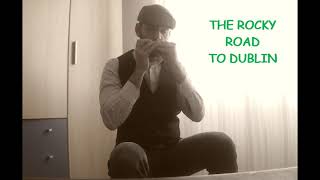 HARMONICA Irish  The Rocky Road To Dublin slip jig [upl. by Anairol]