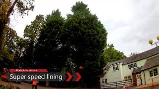 Super speed lining  Conifer tree removal [upl. by Einra231]