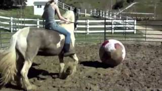 Horses Playing with Balls Falls amp More [upl. by Ahsiad]