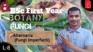 L8 Alternaria Fungi Imperfecti ● BOTANY ●BSc First Year ● TU ● NEPAL 🇳🇵● By Sumit Chaudhary [upl. by Acimat]