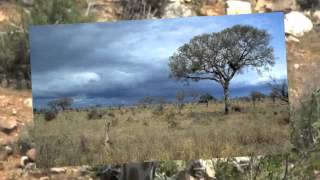 The Savanna Biome in South Africa [upl. by Walley]