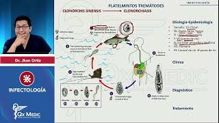 Parásitos Platelmintos Tremátodes Fasciola Schistosoma Clonorchis Paragonimus mp4 [upl. by Stace]