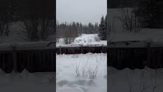 Glennallen Alaska  BUHAY AMERICA PINAY SA ALASKA snow [upl. by Alih]