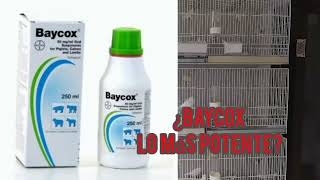 ¿BAYCOX ES EL ANTIPARASITARIO MAS POTENTE PARA AVES [upl. by Duer]