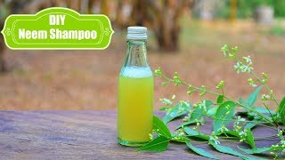 Shocking Homemade Neem Shampoo That Removes Dandruff amp Hair Fall In One Wash [upl. by Jamie]