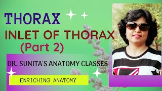 Inlet of Thorax Part 2 [upl. by Aihsetal924]