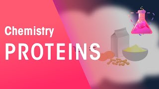 Proteins  Organic Chemistry  Chemistry  FuseSchool [upl. by Derinna]