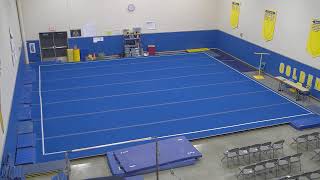 Aberdeen Gymnastics Meet  Floor 11302023 [upl. by Keenan660]