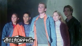 Theme Song  Animorphs  Scholastic Classic [upl. by Hescock12]