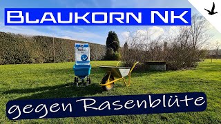 Rasendünger Blaukorn NK gegen Rasen Blüte🚩Erklärung und Anwendung [upl. by Doralynn]