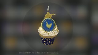 I got the 10 Year Birthday Coin  CSGO Update  CounterStrike Global Offensive [upl. by Ainwat]