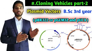 What is Plasmid vectors  pBR322 plasmid vector  pUC8 plasmid vector  BSc 3rd year zoology [upl. by Popelka]