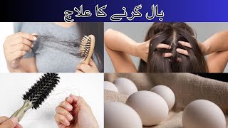 Natural Remedy for Hair Fall  Egg Fenugreek Amla Powder Taramera Oil and Castor Oil Treatment [upl. by Eesdnyl]