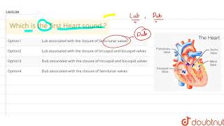 Which is the first Heart sound [upl. by Evot776]