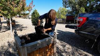 Planting My Parent’s Pots up for Fall 🍁🥰🍂  Garden Answer [upl. by Halonna]