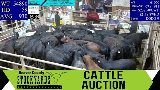 572024  Beaver County Stockyards Weekly Cattle Auction [upl. by Nirel609]