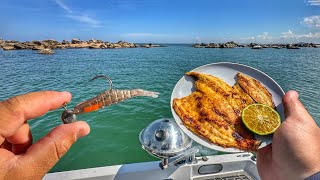 Pesca de robalos nas pedras Fiz um peixe delicioso no barco Catch clean cook [upl. by Ferneau]