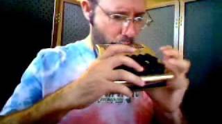 Michael Rubin plays Peg of My Heart on the Harmonetta [upl. by Macknair305]