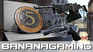 CSGO Update PreOrder Real 5 Year Coin R8 amp Negev changes  Canals [upl. by Charleen]