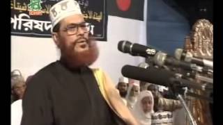 Bangla Jahannamer Voyabahota by Allama Delwar Hussain Sayeedi [upl. by Ferris384]