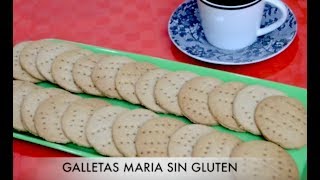 GALLETAS MARIA SIN GLUTEN Receta Fácil Rica y Deliciosa🍪 [upl. by Nitaj14]