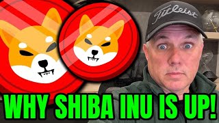 WHY SHIBA INU IS ROCKETING UP FIND OUT NOW [upl. by Darnok118]