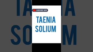 Taenia solium [upl. by Corsetti]