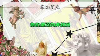 你们是双向奔赴吗？感情 爱情 复合 分手 塔罗 [upl. by Ikkir213]