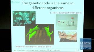 Bio Sci 93 DNA to Organisms Lec19 Gene Expression Translation [upl. by Yespmed]