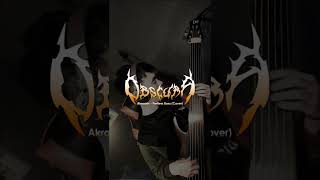 Obscura  Akróasis Fretless Bass Cover shorts [upl. by Toiboid]