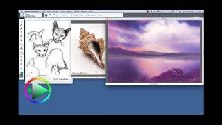 Introduction to the Painter Essentials 6 User Interface [upl. by Elleral]