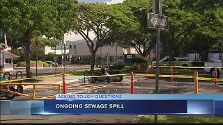 Warning signs posted areas roped off due to ongoing sewage spill at Kewalo Basin [upl. by Brade349]