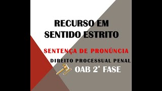 Recurso em Sentido Estrito modelo prático  Sentença de Pronúncia [upl. by Wilcox]