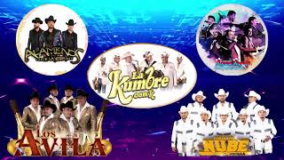 Los Alamenos Los Avila Conjunto Nube La Kumbre con K Conjunto Agua Azul  Huapangos Mix 2024 [upl. by Heidt]