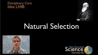 LS4B  Natural Selection [upl. by Luella]