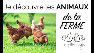 Animaux 1 Je découvre les animaux de la FERME [upl. by Etnahs]