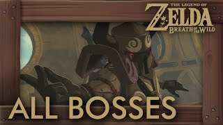 Zelda Breath of the Wild  All Bosses on MASTER MODE No Damage [upl. by Hsakiv]