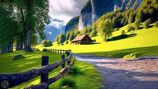 Relaxing Music With Beautiful Nature Videos 🍀 Reduce Stress Anxiety amp Depression 🌿 Soul Healing [upl. by Ahtiek]