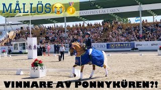 FALSTERBO HORSE SHOW 2019 [upl. by Minnie]