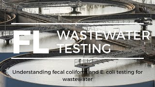 Understanding Fecal Coliforms and E coli Testing Methods for Wastewater in Florida [upl. by Llekim]