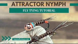 Attractor Nymph  Fly Tying Tutorial [upl. by Nowell]