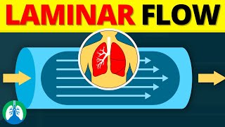 Laminar Flow in the Lungs EXPLAINED [upl. by Eedia713]