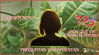 CONOCE SOBRE MÍ MIENTRAS CUIDO MIS PLANTAS preguntas y respuestas qanda [upl. by Trumann]