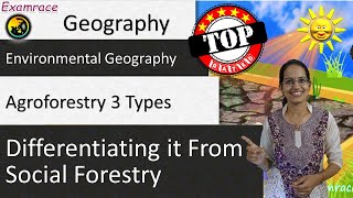 3 Types of Agroforestry Differentiating it from Social Forestry [upl. by Nelrsa382]