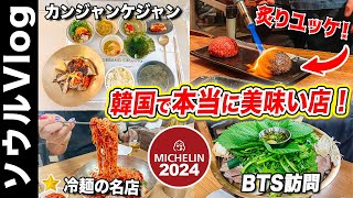 【韓国グルメ】韓国ソウルで本当に美味しい店ベスト3🇰🇷コスパ最強ミシュラン｜ BTSメンバーも訪問したユッケビビンバ、ミシュラン5年連続獲得のカンジャンケジャン、冷麺の名店⭐️韓国旅行2024 [upl. by Chucho915]